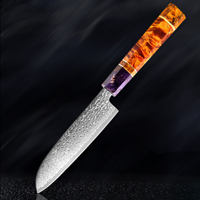 SAKUTO (久拓) Japanese Damascus Steel Kitchen Knife With Coloured Octagonal Handle